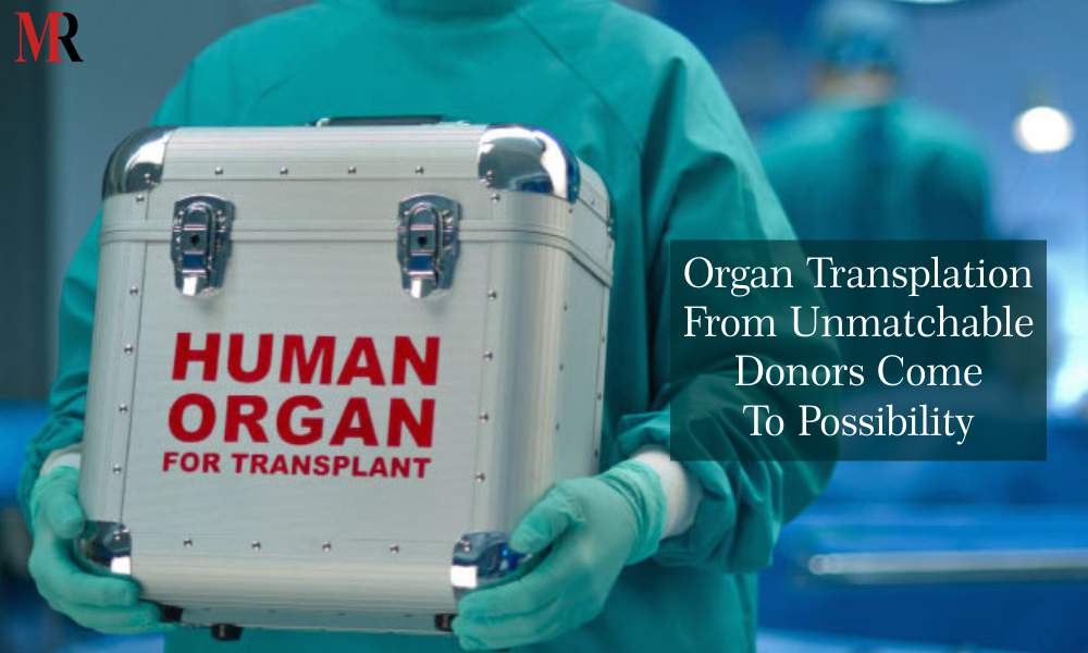 Organ Transplantation Futuristic Technologies Different Organs