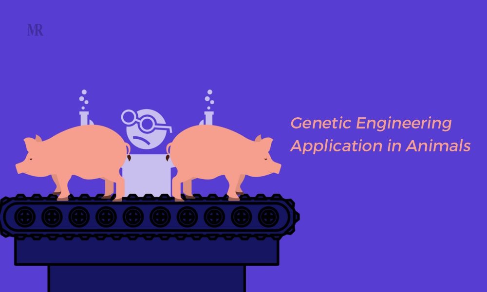 Genetic Engineering Applications