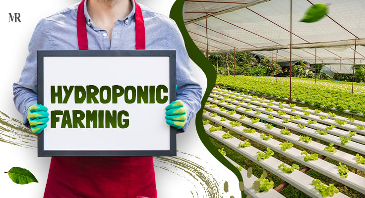 Hydroponic Farming