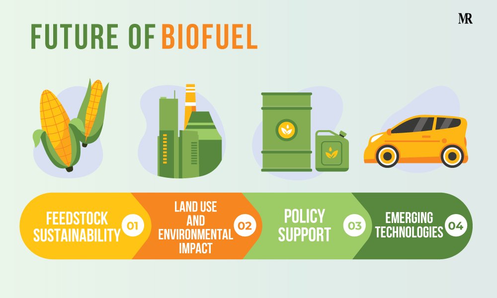 Biofuel: A Sustainable Solution To Rising Energy Demand