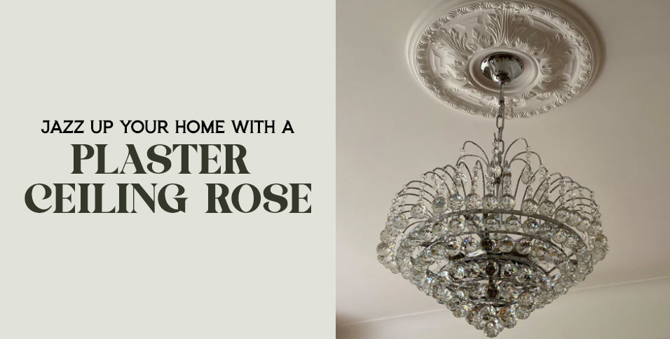 Plaster Ceiling Rose